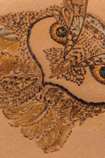 THE OWL STARE - Image 4