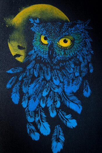 THE OWL GLARE - Image 3