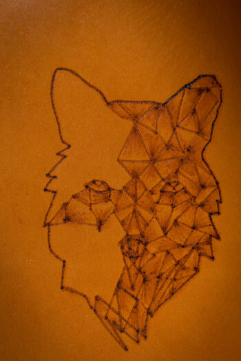 VIXEN FIERCE - Image 4