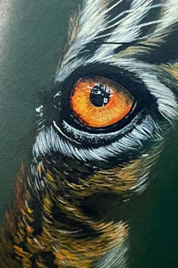 WILD EYES - Image 3