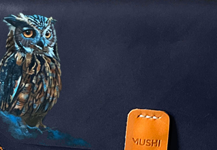 OWLS Blue leather purse with handmade art for women by MUSHI