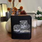 Scottish Folds